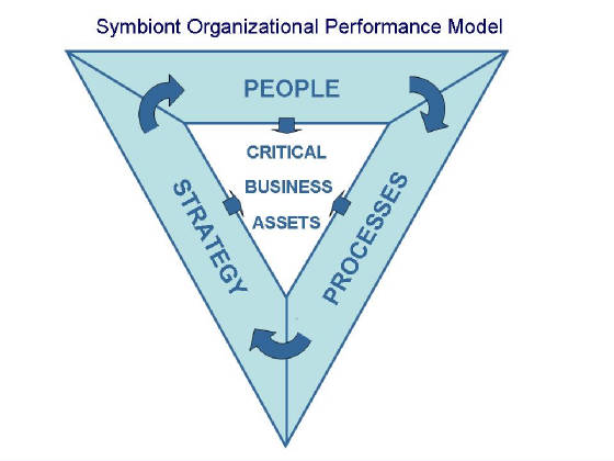 webassets/SymbiontOrganizationalPerformanceModel.jpg